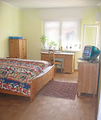 bed and breakfast room with desk and double bed